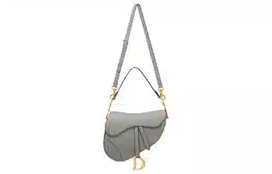 Dior Saddle Bag Grey