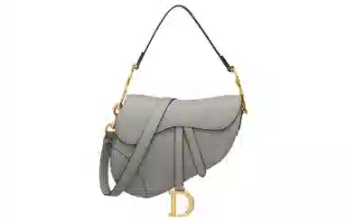 Dior Saddle Bag Grey