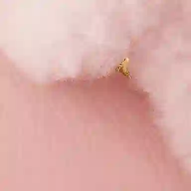 LOUIS VUITTON twist Taurillon