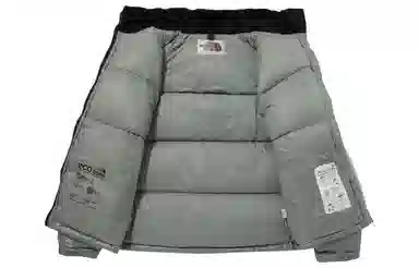 THE NORTH FACE NOVELTY NUPTSE DOWN JACKET