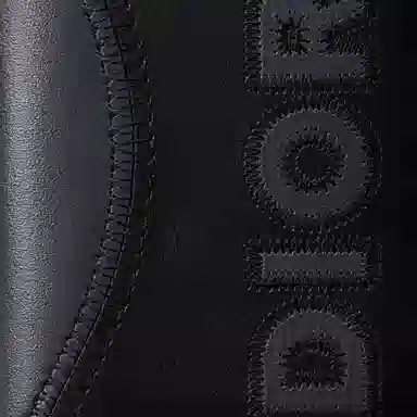 DIOR Logo