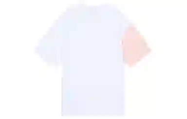 Dickies SS21 LogoT