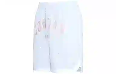 Jordan Sport Dna Logo Shorts