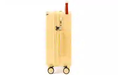 VINEY PC 2018242622