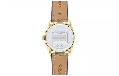 COACH Greyson 14504107