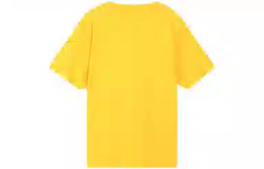 Champion T