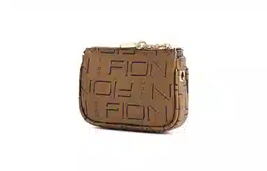 FION Logo