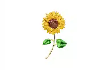 QIMEILA