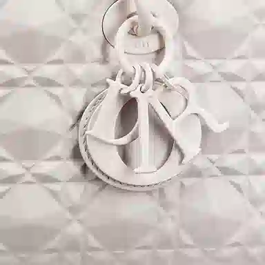 DIOR Lady D-JOY