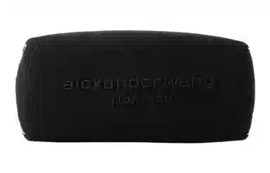 Alexander Wang Cruiser
