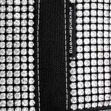 Alexander Wang Cruiser