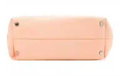 Alexander Wang Heiress