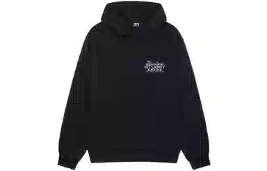 Stussy FW23 Ist Hoodie Pigment Dyed