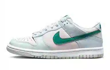 Nike Dunk Low 811 GS