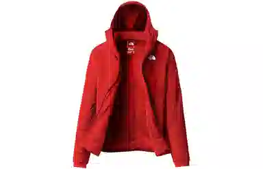 THE NORTH FACE SUMMIT CASAVAL Logo