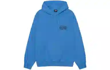 Stussy FW23 Ist Hoodie Pigment Dyed
