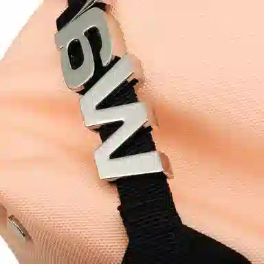 Alexander Wang Heiress