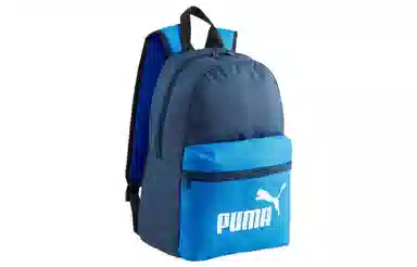 PUMA Phase