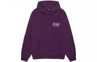 Stussy FW23 Ist Hoodie Pigment Dyed