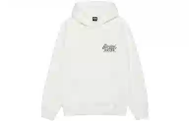Stussy FW23 Ist Hoodie Pigment Dyed