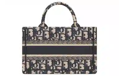 Dior Book Tote Mini Blue Beige