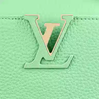 LOUIS VUITTON Capucines Taurillon