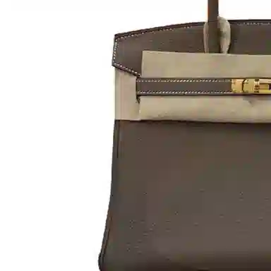 HERMES Birkin 25 Togo 18 Etoupe