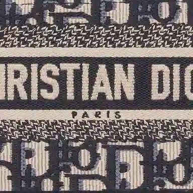 Dior Book Tote Mini Blue Beige