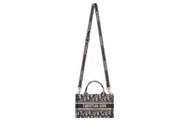 Dior Book Tote Mini Blue Beige