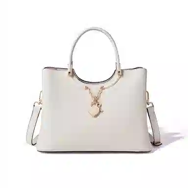 红蜻蜓 时尚大容量拉链开合 头层牛皮拼超纤合成革 单肩斜挎手提包 大号 女款 白色