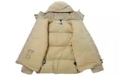 THE NORTH FACE Logo