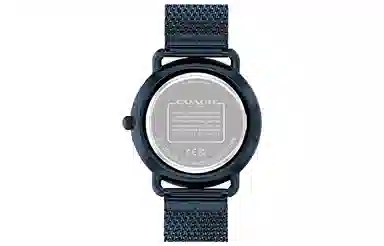 COACHELLIOT 41mm 14602650