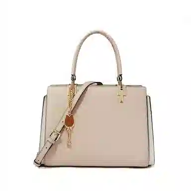 红蜻蜓 大容量通勤拉链开合 牛皮拼超纤合成革 单肩包斜挎包手提包 中号 女款 杏色