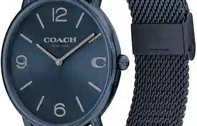 COACHELLIOT 41mm 14602650