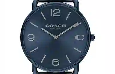 COACHELLIOT 41mm 14602650