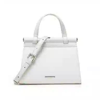 红蜻蜓 时尚蜥蜴纹女士小包包通勤手提包女式斜挎包女包 牛皮