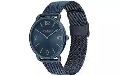 COACHELLIOT 41mm 14602650