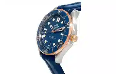 OMEGA Seamaster 210.22.42.20.03.002