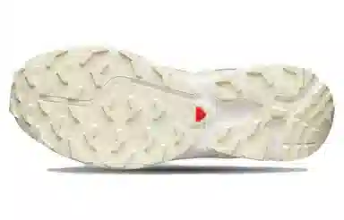 SALOMON XT-6