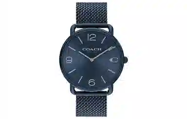 COACHELLIOT 41mm 14602650