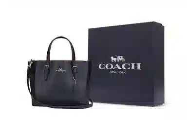 COACH Mollie 25 Tote