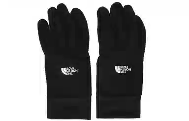 THE NORTH FACE PLG FLASHDRY GLOVE