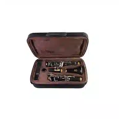 XINGHAI INSTRUMENT XC-17J B)