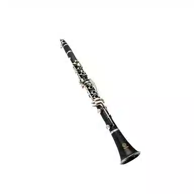 XINGHAI INSTRUMENT XC-17J B)