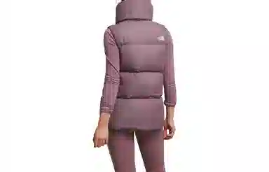 THE NORTH FACE Glacier Basin Vest