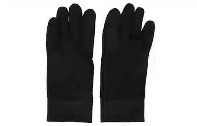 THE NORTH FACE PLG FLASHDRY GLOVE