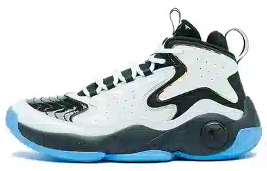 Jordan High Top Basketball Shoes Black White