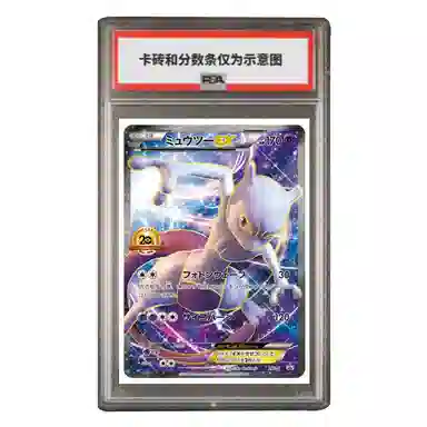 POKEMON XY PROMO EX XY-P-XY-P PSA