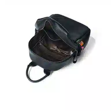 红蜻蜓 轻便背包旅行包双肩包 牛头层皮革配超细纤维合成革 女款 黑色