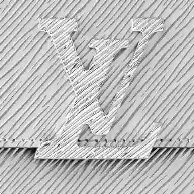 LOUIS VUITTON Epi
